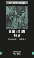 bokomslag Briefe aus dem Orient