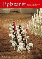 Lipizzaner 1