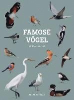 bokomslag Famose Vögel - Postkartenbuch