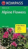 bokomslag Alpine Flowers (Alpenblumen)