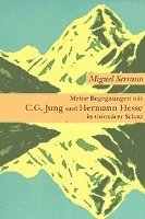 bokomslag Meine Begegnungen mit C. G. Jung und Hermann Hesse in visionärer Schau