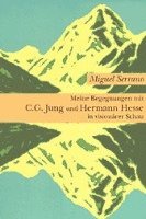 Miguel Serrano - Meine Begegnungen mit C. G. Jung und Hermann Hesse in visionärer Schau, Häftad