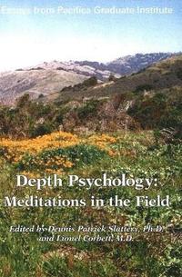 bokomslag Depth Psychology, 2nd Edition