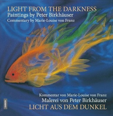 bokomslag Licht aus dem Dunkel / Light from the Darkness