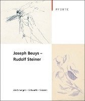 bokomslag Joseph Beuys - Rudolf Steiner