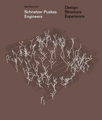 Schnetzer Puskas Engineers - Design Structure Experience 1