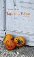 Fabio Andina - Tage mit Felice, Inbunden