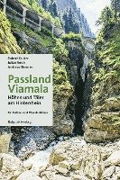 bokomslag Passland Viamala