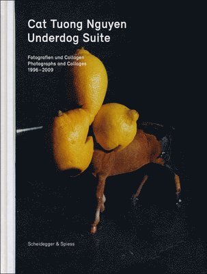 Cat Tuong Nguyen, Nadine Olonetzky, Burkhard Meltzer - Underdog Suite, Inbunden