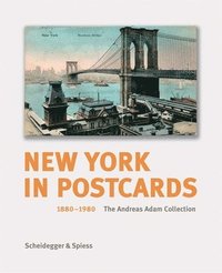 bokomslag New York in Postcards 1880-1980