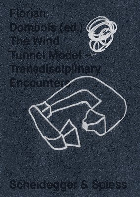 The Wind Tunnel Model 1