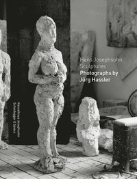 bokomslag Hans Josephsohn Sculptures