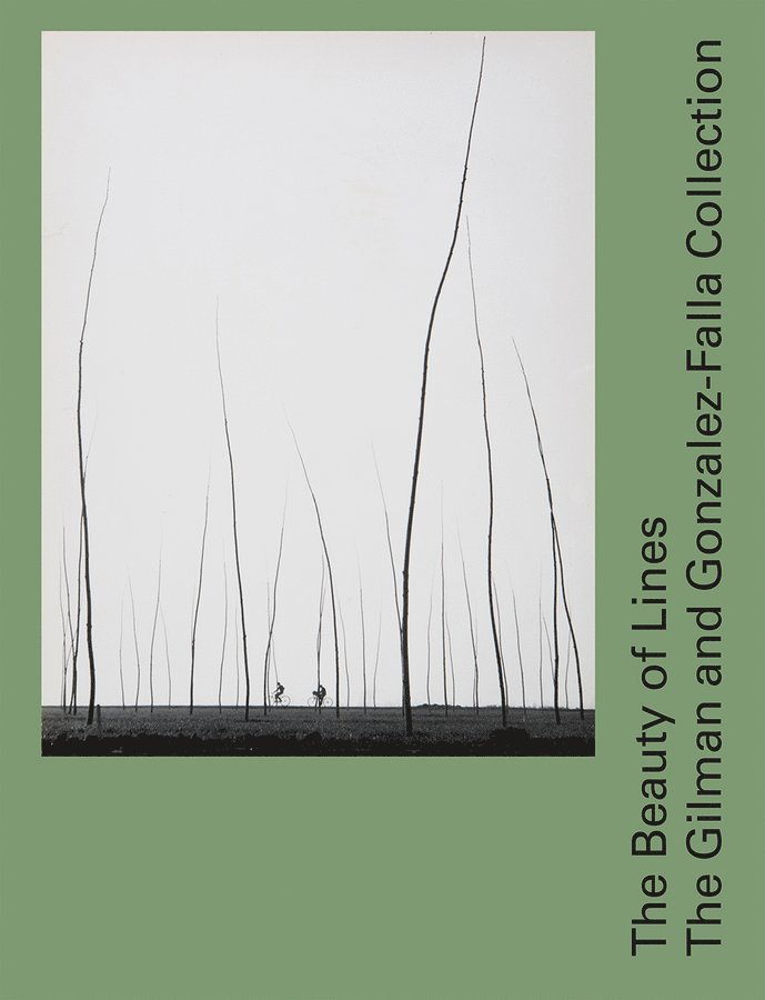 Tatyana Franck, Pauline Martin, Tatyana Franck, Pauline Martin - Beauty of Lines, Inbunden