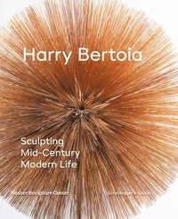 bokomslag Harry Bertoia