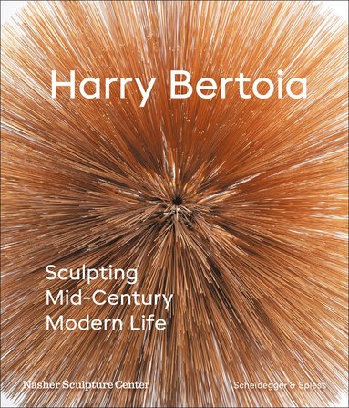 bokomslag Harry Bertoia