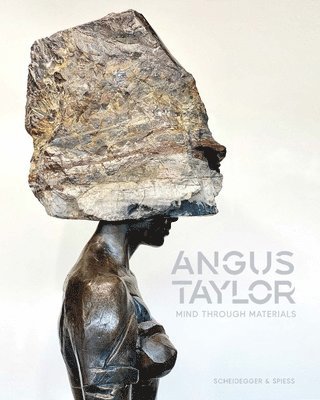 bokomslag Angus Taylor
