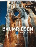 bokomslag Baumriesen der Schweiz