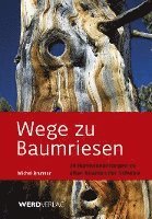 bokomslag Wege zu Baumriesen