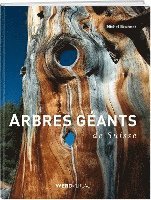 bokomslag Arbres géants de Suisse