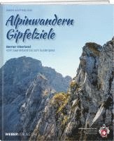 bokomslag Alpinwandern Gipfelziele
