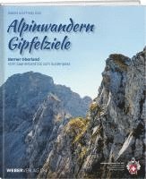 Alpinwandern Gipfelziele 1