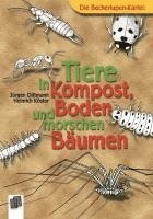 bokomslag Tiere in Kompost, Boden und morschen Bäumen