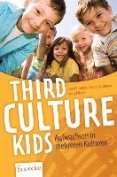 bokomslag Third Culture Kids