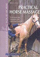 bokomslag Practical Horse Massage