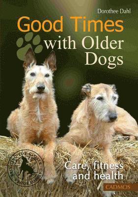 Good Times with Older Dogs 1