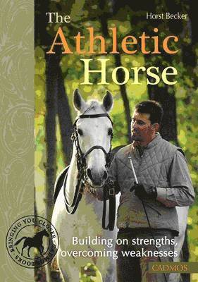 Athletic Horse 1