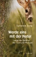 Tamarack Song - Werde eins mit der Natur, Häftad
