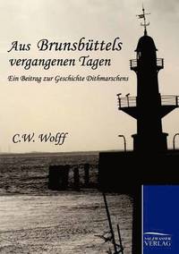 bokomslag Aus Brunsbüttels vergangenen Tagen