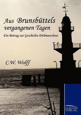 bokomslag Aus Brunsbüttels vergangenen Tagen