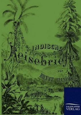 bokomslag Indische Reisebriefe