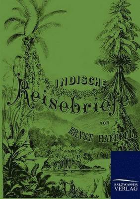 Indische Reisebriefe
