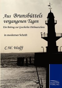 bokomslag Aus Brunsbüttels vergangenen Tagen
