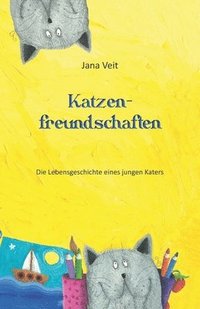 bokomslag Katzenfreundschaften