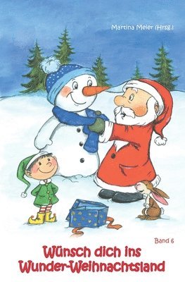 Martina Meier - Wünsch dich ins Wunder-Weihnachtsland Band 6, Häftad