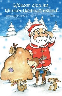 bokomslag Wünsch dich ins Wunder-Weihnachtsland Band 9