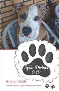 bokomslag Spike Dickus & Co