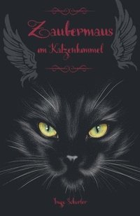 bokomslag Zaubermaus im Katzenhimmel