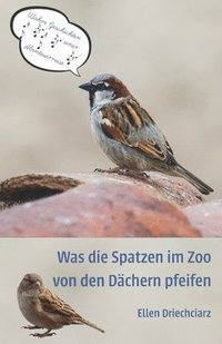 bokomslag Was die Spatzen im Zoo von den Dachern pfeifen