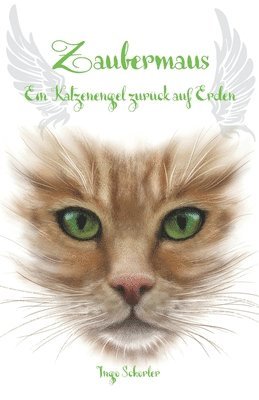 bokomslag Zaubermaus - Ein Katzenengel zurck auf Erden