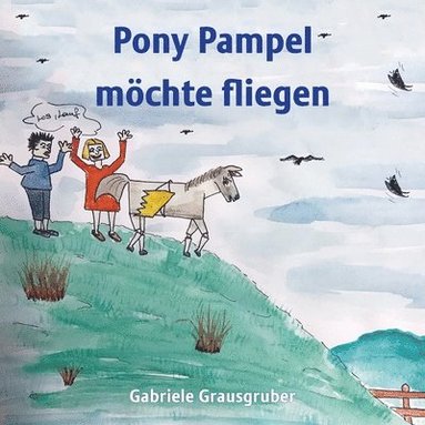 bokomslag Pony Pampel möchte fliegen