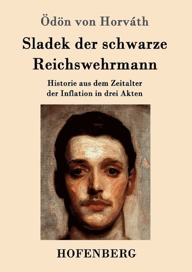 bokomslag Sladek der schwarze Reichswehrmann