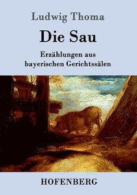 bokomslag Sau