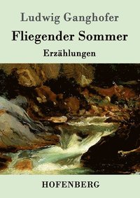 bokomslag Fliegender Sommer