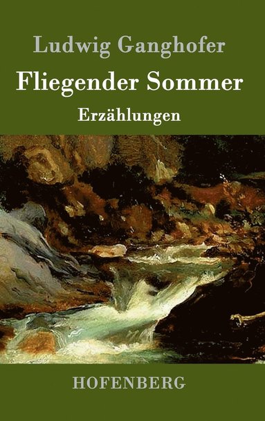 bokomslag Fliegender Sommer