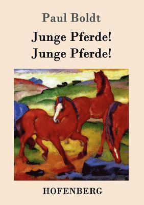 Paul Boldt - Junge Pferde! Junge Pferde!, Häftad