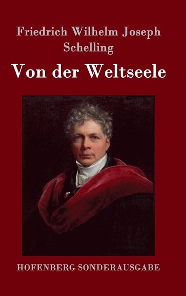 bokomslag Von der Weltseele